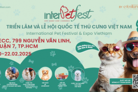 Nối và Lan Tỏa Yêu Thương tại Sự Kiện Thú Cưng Lớn Nhất Việt Nam InterPetFest 2025