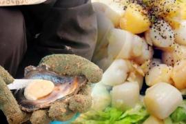 Về Thanh Lân tìm đặc sản, ăn thứ "đanh" hà nơi biển sâu