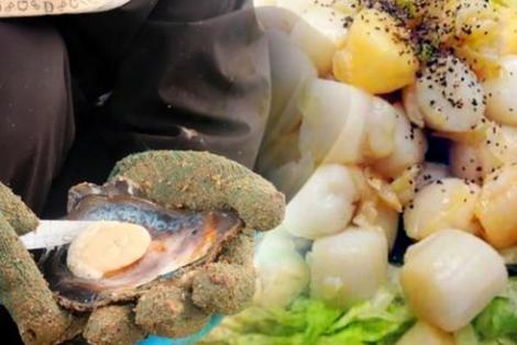 Về Thanh Lân tìm đặc sản, ăn thứ "đanh" hà nơi biển sâu