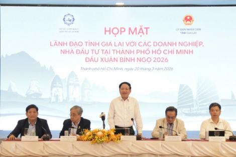 Gia Lai thúc đẩy kết nối, hợp tác và triển khai các dự án của tỉnh