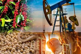 Chuẩn bị giao dịch Hợp đồng quyền chọn hàng hóa tại Việt Nam