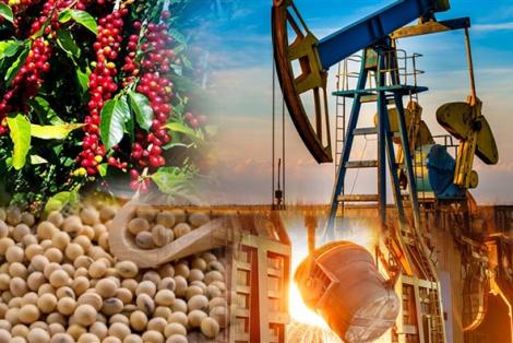 Chuẩn bị giao dịch Hợp đồng quyền chọn hàng hóa tại Việt Nam