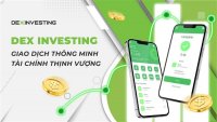 Top 5 Lý Do Người Mới Nên Chọn Đầu Tư Tại Dex Investing