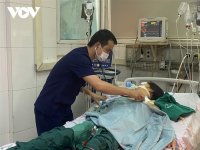 Làm gì để đối mặt với sốt xuất huyết trong bối cảnh “dịch chồng dịch”