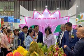 Vietnam Foodexpo 2025: Nơi hội tụ tinh hoa thực phẩm Việt và thế giới
