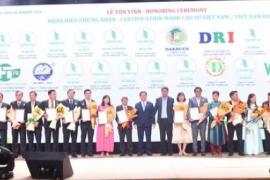 Ngành cao su 2025 - Xu hướng giá và cơ hội thị trường toàn cầu trong bối cảnh EUDR