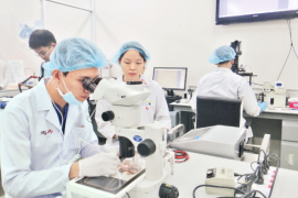 Việt Nam ưu tiên đầu tư phát triển 70 công nghệ cao chiến lược
